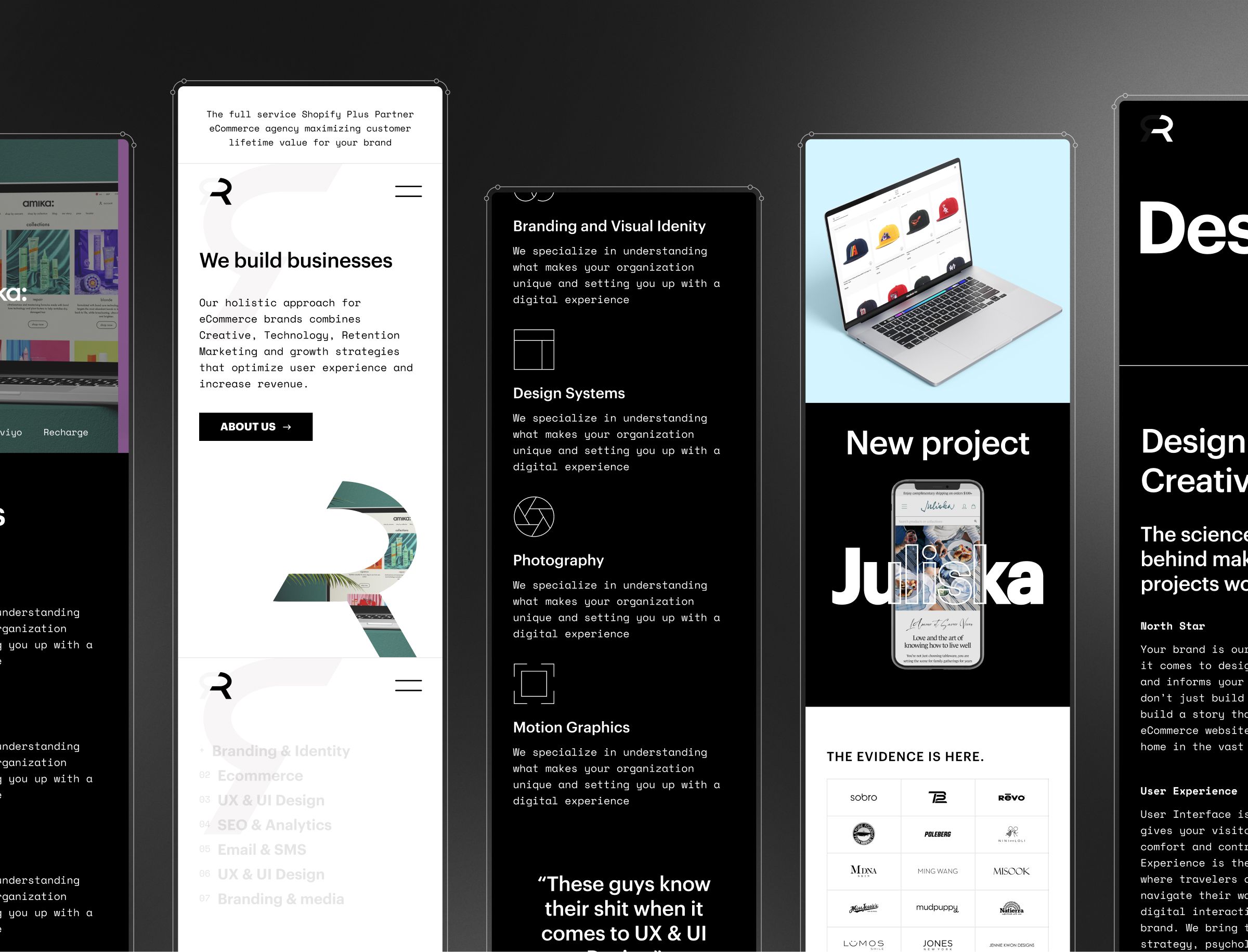 Multiple website pages and design portfolio examples displayed side by side, showcasing branding, visual identity, design systems, photography, and motion graphics services.